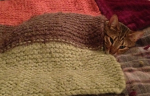 Nothing like a knit blanket to snuggle with!