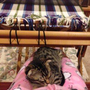 Benny decided that weaving was not an impediment, when he was ready to nap on a lap!