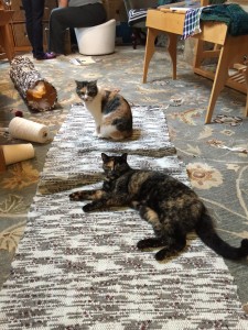 Koko and Mimi found the new rug right away, and appear to approve