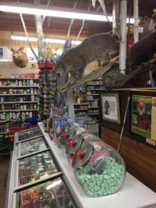 Go ahead. Nab that ice cream and candy, under the hissing stuffed cat!